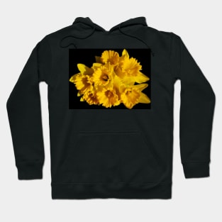 Bunch of yellow Daffodils Hoodie